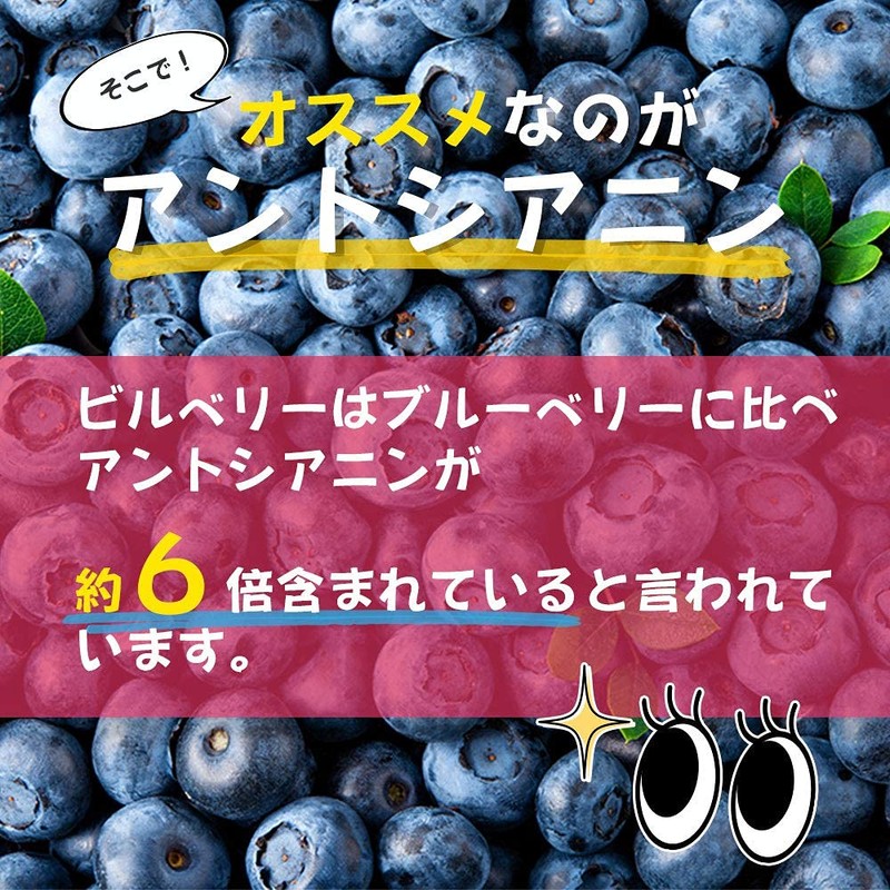 【リプサ公式】 輝きビルベリー 約3か月分 C-136 アントシアニン サプリメント