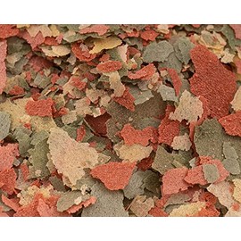 NatureHolic Pure Flakes - Immun+ - Flake Form - Additional Food for All Ornamental Fish in the Aquarium - Extra Boost for Your Immune System - Made in Mannheim