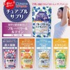 オリヒロ かんでおいしいチュアブルサプリ ブルーベリー＆ルテイン 120粒 30日分 RPJセット ORIHIRO 【2個】