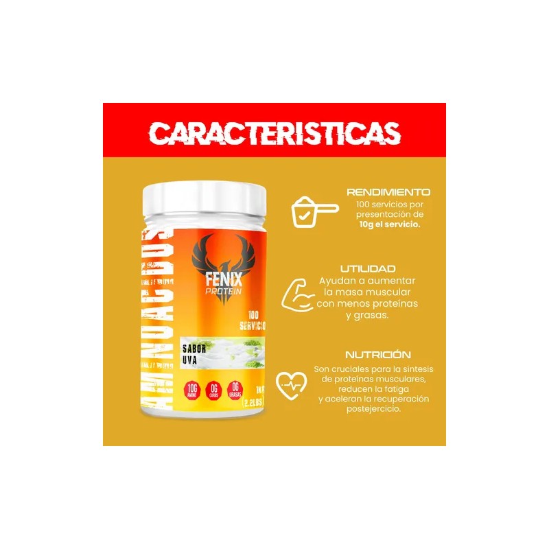 Aminoácidos Fenix Protein 1 Kg Varios Sabores 100 Servicios