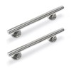 Stainless Straight Grab Rail 48cm - Pack of 2 -