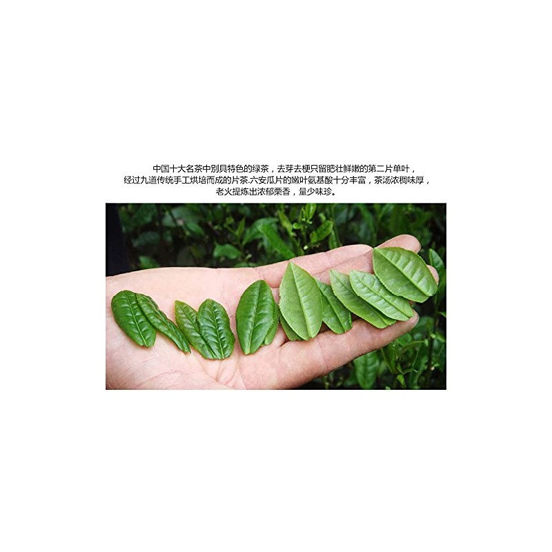 Lu An Gua Pian tea 50g / 1.76oz Melon Slice