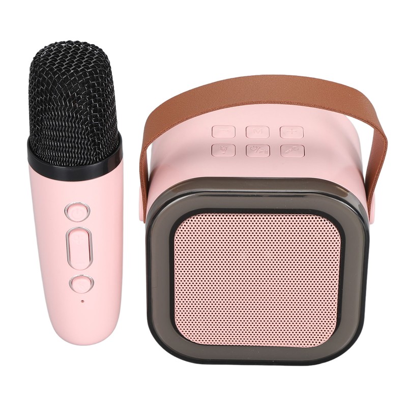 Portable Karaoke Machine LED Dynamic Light Small Bluetooth Speaker with