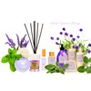 ETEREA Lavender Refill 500 ml