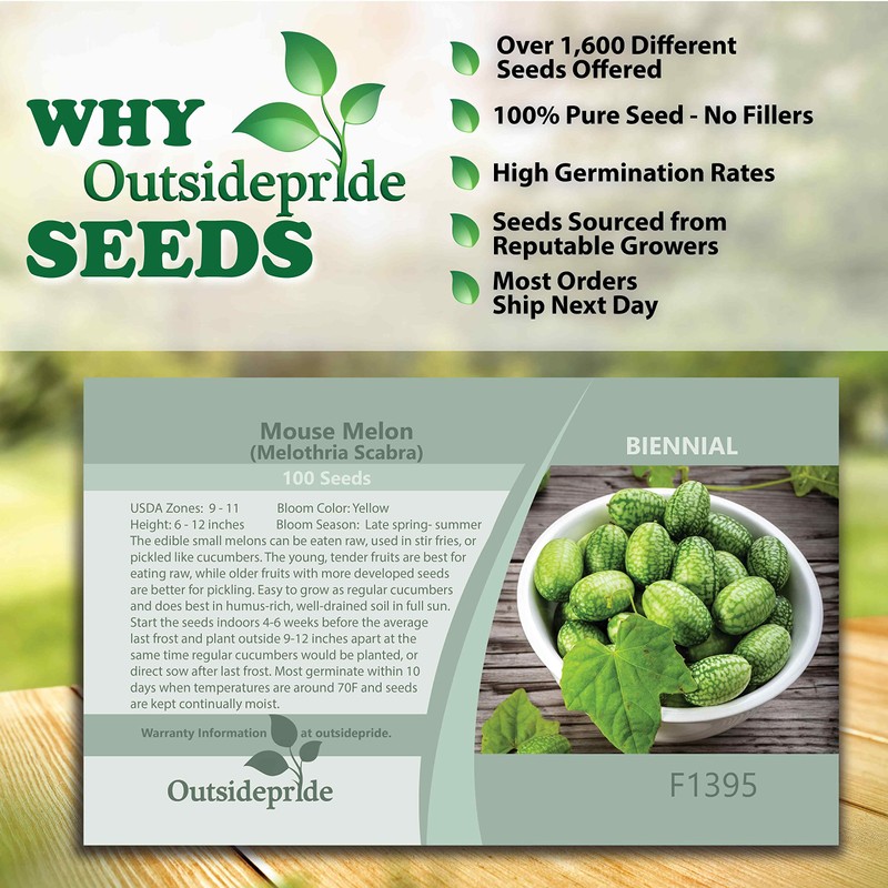 Outsidepride Mouse Melon AKA Mexican Sour Gherkin, Mexican Sour Cucumber