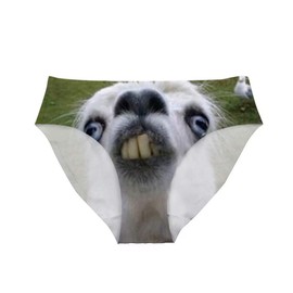 Dellukee Funny Womens Underwear Breathable Hipster Panty Briefs Funny Alpaca Print for Bachelorette Party