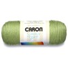 Caron Simply Soft Yarn Assortment (Greenery)