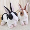 champracer Cuddly Toy Rabbit Sitting Small Plush Rabbit Black Fluffy