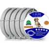40 Months Dog Collar, 5 Packs of 8 Month Dog