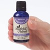 Fox Valley Traders Healthful Naturals Lavender Essential Oil - 30