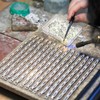 About 500 Pcs 4.5 Grams Silver Solder Jewelry Precut Chips