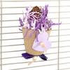 HappyBird Mahogany Cup Natural Nibble Toy for Wall Mounting, Purple/White,