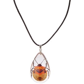 REALBUG Shield Bug Necklace, Clear, Small