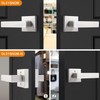 Probrico 6 Pack Door Handles in Satin Nickel, Half Dummy