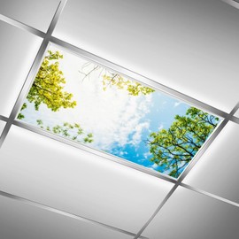 QOROL 2PCS Fluorescent Light Covers for Classroom Ceiling, Magnetic Covers, Filters for School Home Office Drop Ceiling Lamp, Sky Pattern Decor