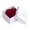 Infinity Rose Preserved Rose Box I Love You Gift for