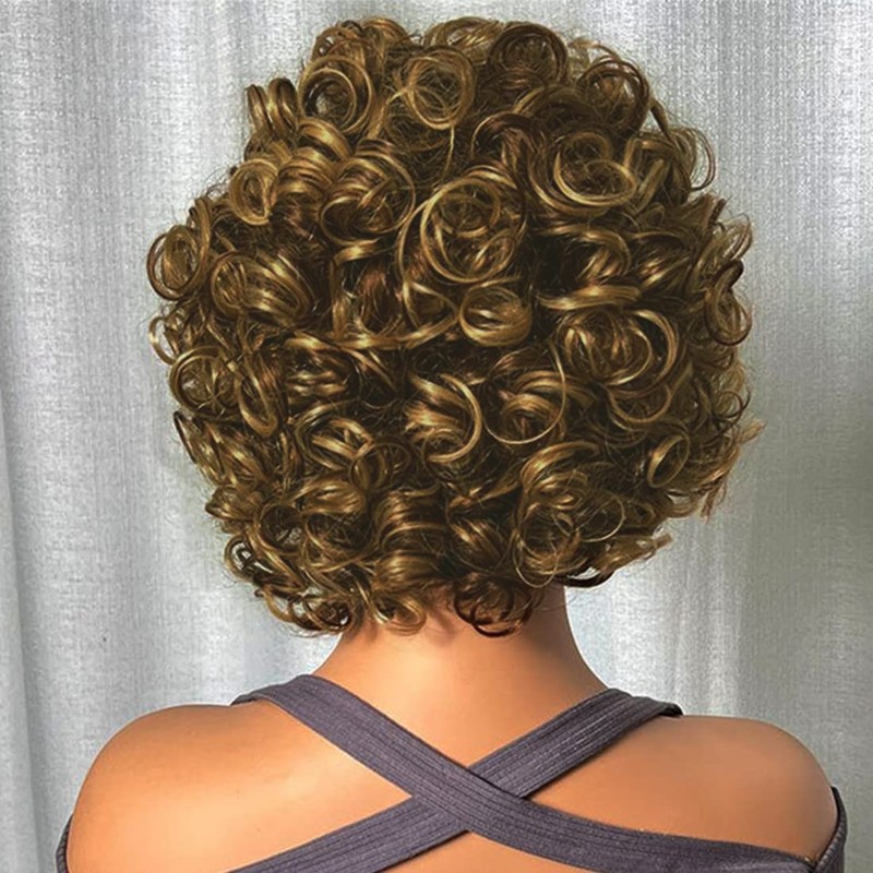 4/27 Short Wavy Curly Bundles with Closure Brazilian P4/27 Wavy