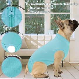 Wabdhaly Wabdhaly Recovery Suit for Dogs,Dog Cone Alternative Zipper Surgery Suit Female Spay,Soft Dog Surgery Suit for Anti Licking,Breathable Surgical Suit for Dogs Female Spay