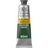 Winsor & Newton Galeria 60ml Hookers Green, Acrylic, 5 x