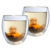 Feelino Ice-Bloom Double-Walled Jumbo Thermal Glasses Transparent Glasses incl. Tea
