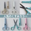 Raymei Fujii KP4FG Scissors Kept Fluorine Coated Scissors Fjord Green