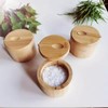 Wooden Seasoning Container for Salt and Spices – Lidded Condiment