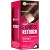 Garnier Hair Color Express Retouch Gray Hair Concealer, Instant Gray