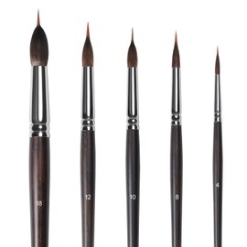 Professional Watercolor Brushes Set - 5Pcs Extra Long Needle Point Detail Brushes,Two - layer Liner Sable/Horse hair Brush for Fine Line Work,Gouache,Acrylic,Models,Artist Grade Painting Tools (Black)