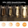 Decoaui E26 ST64 Vintage Edison Light Bulbs, Smoky Grey Coated