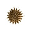 Esschert Design BRASS BRISTLE BRUSH BROWN
