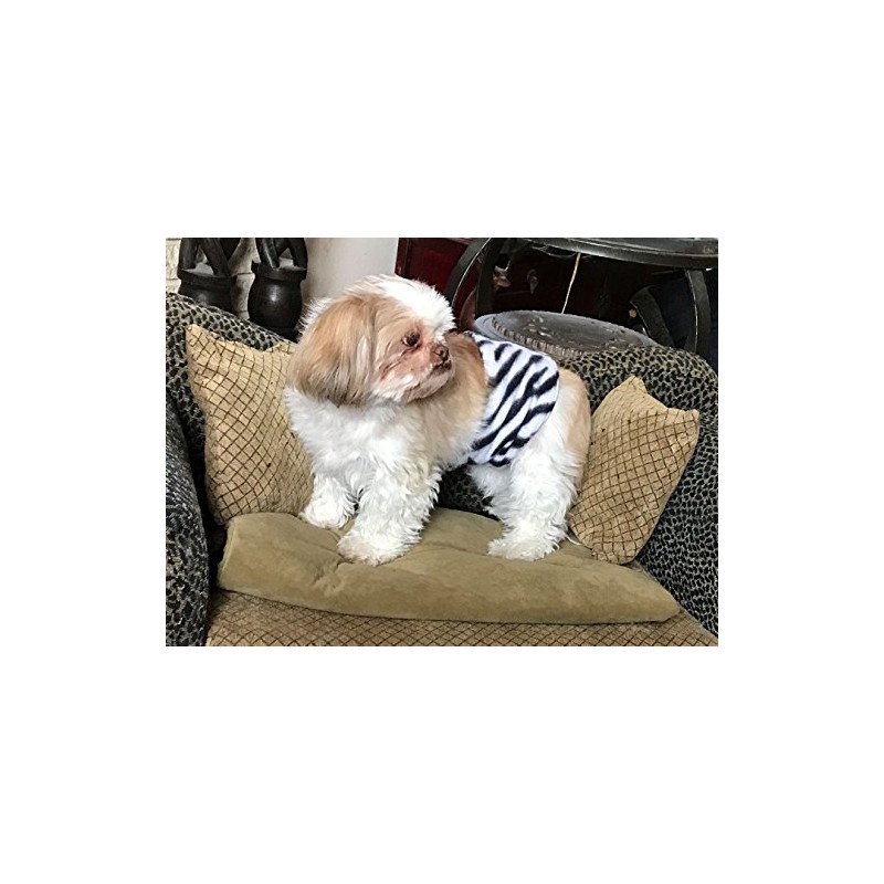 Cuddle Bands Premium Belly Band for Male Dog Incontinence and