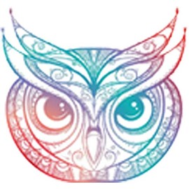Beautiful Rainbow Ombre Henna Pattern Owl Drawing Vinyl Decal Sticker (8" Wide)