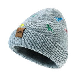 RANOME Knitted Beanie for Toddler Boys Girls Warm Infant Baby Winter Hat Cool Dinosaur Kids Hats Toque Outdoor (as1, Age, 6_Months, 24_Months, A-Grey)
