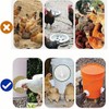 Jindizi 6 Pcs Automatic Chicken Feeder with Hole Saw, Rat