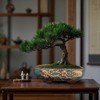 MUZHI 9.5” Rectangular Ceramic Rustic Bonsai Planter Pots with Drip