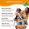 Olewo Original Carrots For Dogs Digestive And Gut Health Support