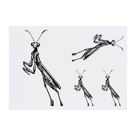 4 x 'Praying Mantis' Temporary Tattoos - Water Resistant, Skin-Safe, Non-Toxic Transfers, Mixed Sizes (TO00071530)