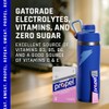 Propel Powder Paquetes de uva con electrolitos, vitaminas y sin
