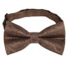 Alizeal Mens Gradient Paisley Bow Tie Pre Tied Pocket Square