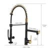Modern Single-Hole Matte Black with Gold Pull Down Kitchen Faucet