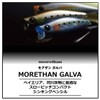 Daiwa Morethan Galba Sea Bass Sinking Pencil Lure