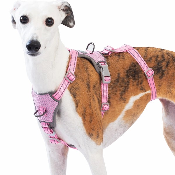 Huntboo Escape Proof Dog Harness – No Pull, No Slip,