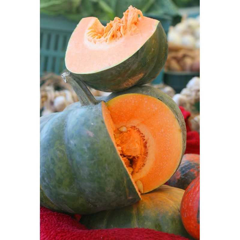 Pumpkin Seeds for Planting – 4 Variety Pack: Big Max,