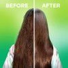 Garnier Fructis Sleek & Shine Moroccan Sleek Oil Treatment, Frizzy,