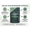 Akkermansia Muciniphila Capsules (30 Billion AFU) with Inulin Prebiotic |