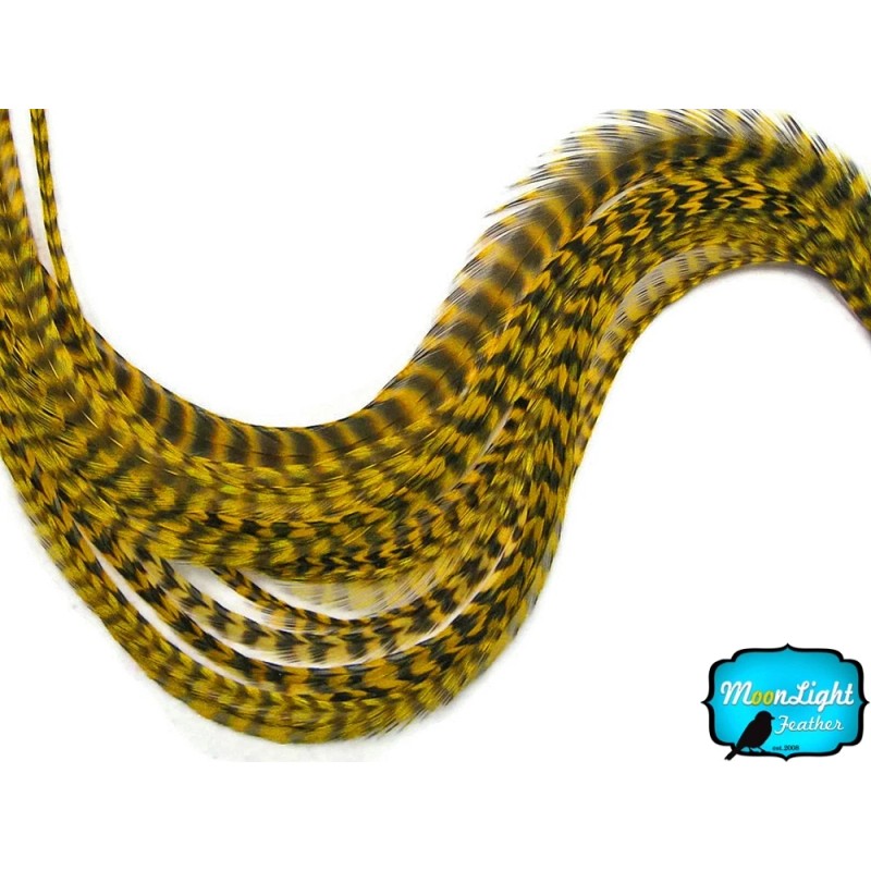 Moonlight Feather YELLOW Thin Long Grizzly Rooster Loose Feather &