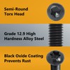 POWERTEC Planer Blade Screws T30 Torx (30 Pack) - Compatible