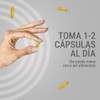 Bajo Zero Fortium – Suplemento Multivitamínico con Omega 3 –