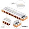 East top Harmonica Blues Harmonica 10 Hole Harmonica C Tone