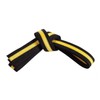 Mastery Apprentice, Black Belt/ Yellow Stripe, 3